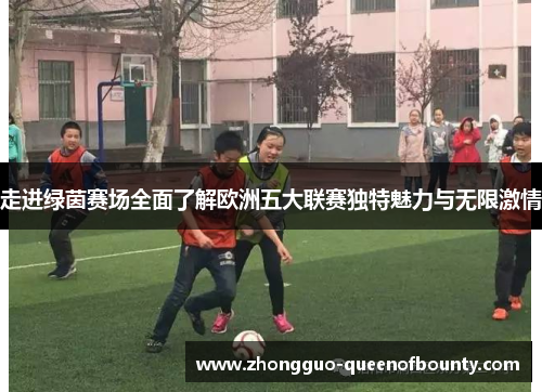 走进绿茵赛场全面了解欧洲五大联赛独特魅力与无限激情