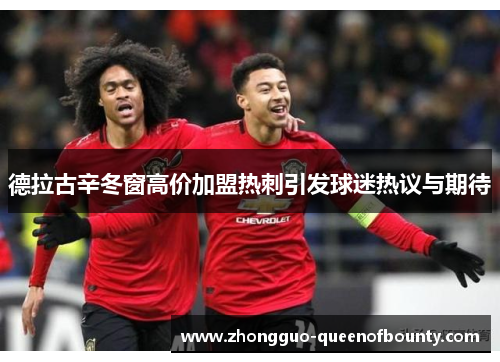 德拉古辛冬窗高价加盟热刺引发球迷热议与期待