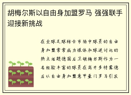 胡梅尔斯以自由身加盟罗马 强强联手迎接新挑战